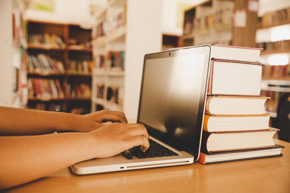 revisión bibliográfica tfm ciencias sociales