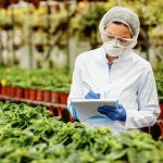 temas tfm ingeniería agrónoma